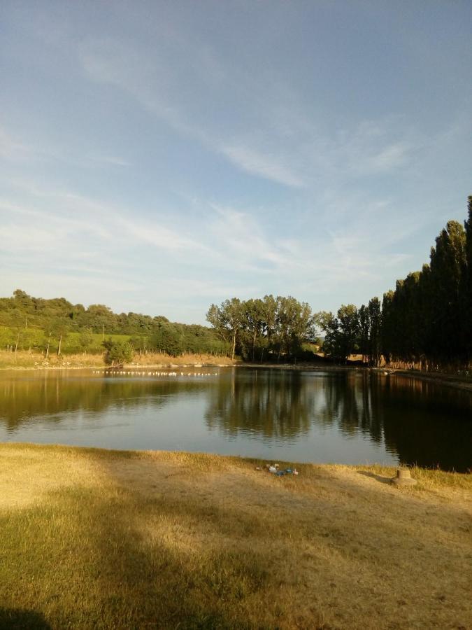 Antica Dimora Figli Di Bocco Apartment Castiglion Fibocchi Luaran gambar