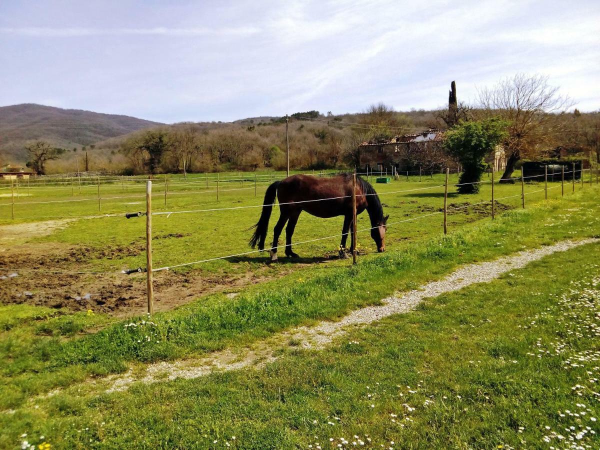 Antica Dimora Figli Di Bocco Apartment Castiglion Fibocchi Luaran gambar